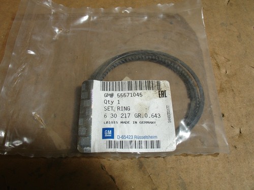 55571045 piston rings set - rings,